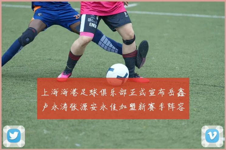 上海海港足球俱乐部正式宣布岳鑫卢永涛张源安永佳加盟新赛季阵容更新