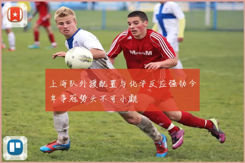 上海队外援配置与化学反应强劲今年争冠势头不可小觑