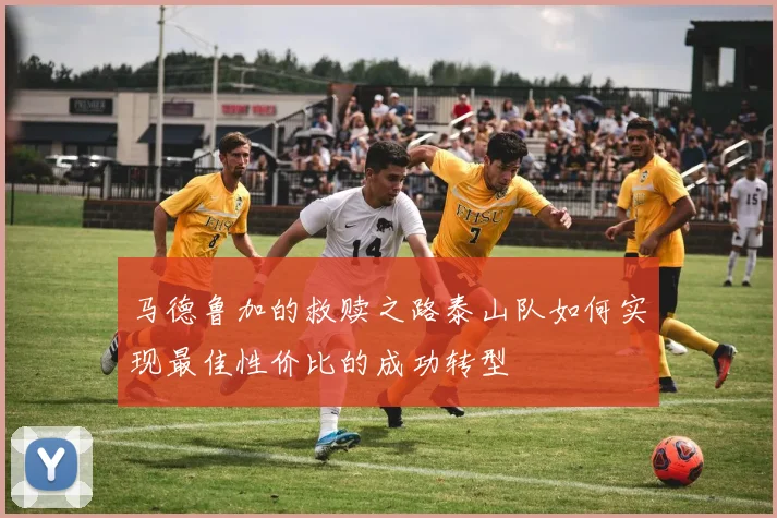 马德鲁加的救赎之路泰山队如何实现最佳性价比的成功转型